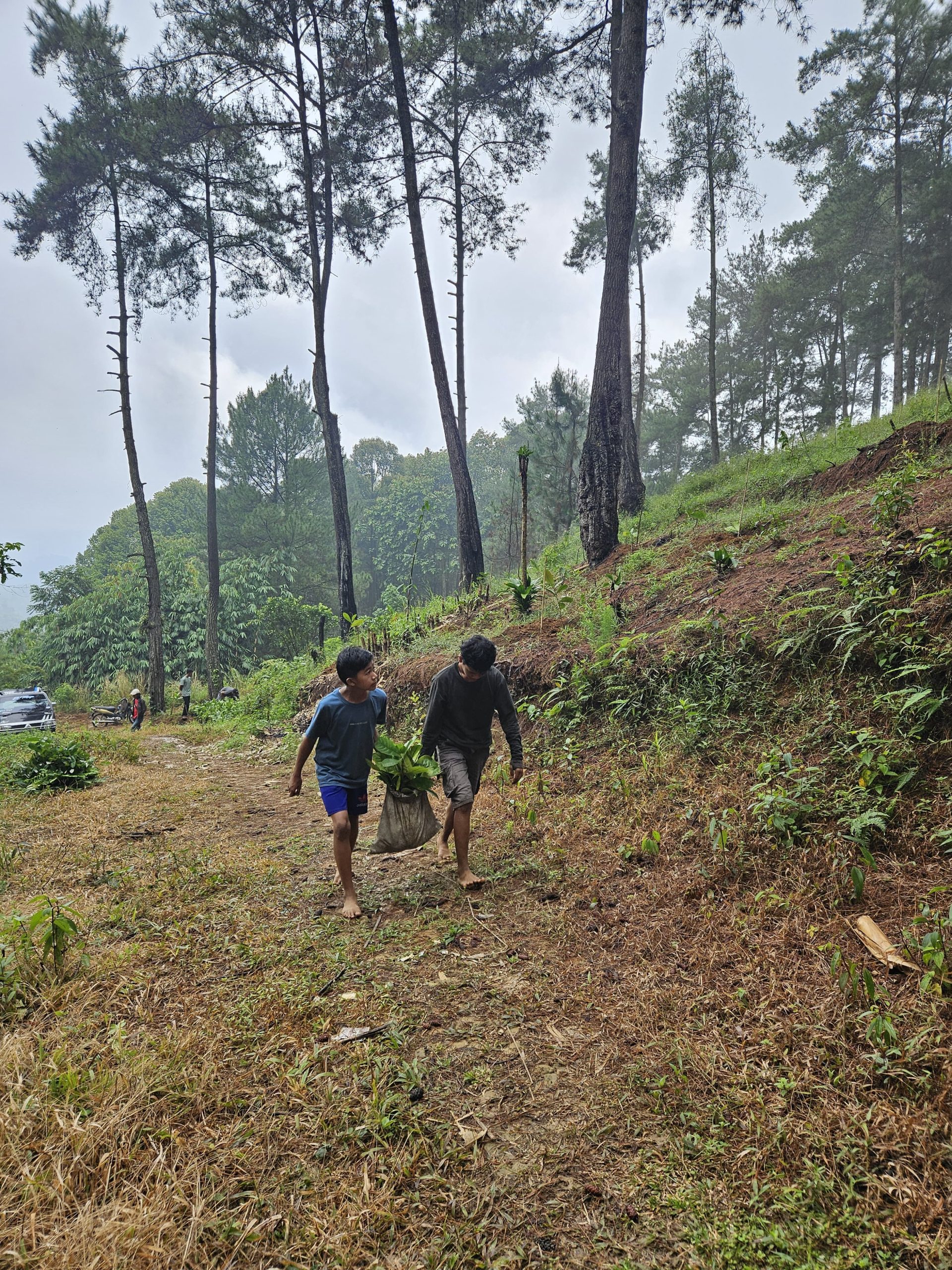 anak_desa_kopi-scaled